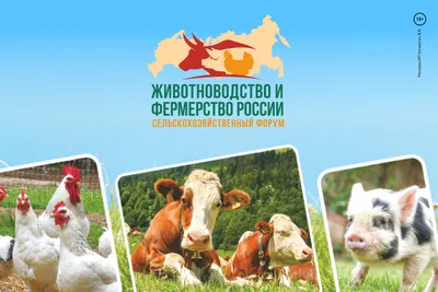 Новейшие технологий и услуги для животноводства и кормопроизводства на  международной выставке АГРОС-2021