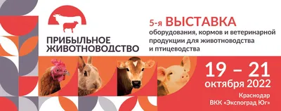 Бесплатное изображение: Животноводство, сельское хозяйство, животное,  животный, овцы, природа, милые