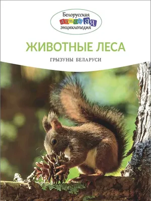В Беларуси могут разрешить охоту на редких животных (Пресса) Энциклопедия о  животных EGIDA.BY