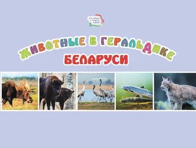 Купить Животные леса № 34 в Минске в Беларуси в интернет-магазине OKi.by с  бесплатной доставкой или самовывозом