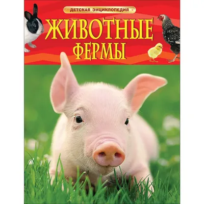 Животные фермы - МНОГОКНИГ.ee - Книжный интернет-магазин
