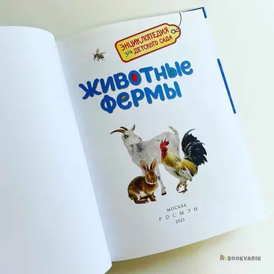 Пакетик-сюрприз KONIK «Животные фермы», 3 фигурки | Konik.ru. Пожалуй,  лучшие игрушки в России