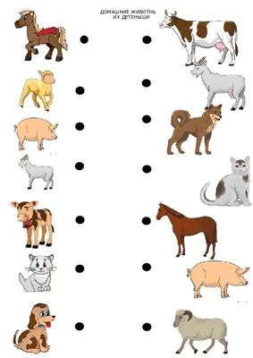 Домашние животные и их детёныши 🐮 Учим животных 🐶 Развивающие мультики (  2+) 🐓 Карточки Домана - YouTube