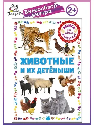 Книга У кого какая мама? Животные и их детеныши. 2-4 года - купить детской  художественной литературы в интернет-магазинах, цены на Мегамаркет |
