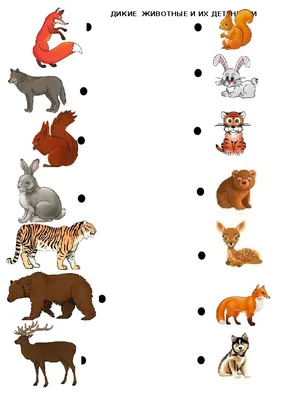 Животные и их детеныши. Научные названия | mr-smarty-cat.ru | Дзен