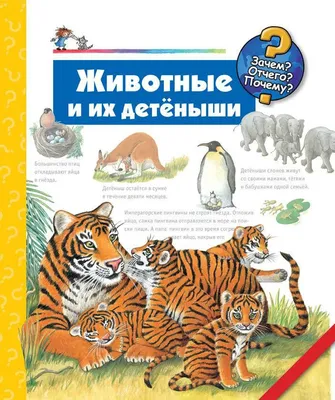 Картотека предметных картинок 04. Животные наших лесов, домашние животные, их  детеныши. 3-7 лет.ФГОС ДП-179516 в Москве|CLEVER-TOY.RU