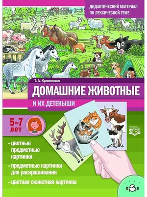 Животные и их детеныши. А2. КПЛ - 311. - купить книгу в интернет-магазине  «Живое слово».