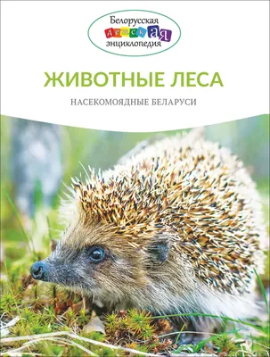 Животные леса. Насекомоядные Беларуси И. Крищук - купить книгу Животные леса.  Насекомоядные Беларуси в Минске — Издательство Белорусская Энциклопедия им.  П. Бровки на OZ.by