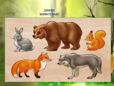 Иллюстрация 6 из 9 для Плакат \"Животные леса и тайги\" (2687) | Лабиринт -  книги. Источник: Машамамамальчиков