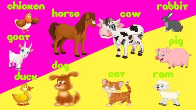 Английский для детей | Учим животных на английском языке | Домашние животные  для детей - YouTube