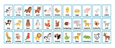 List of Wild Animals Names in English For Kids