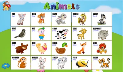 Animals Name, Check List Of 100+ Animals Names With Pictures