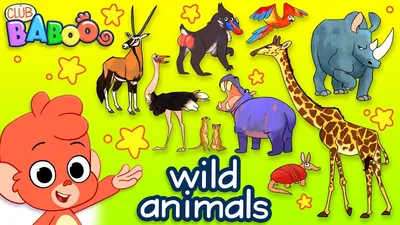 Free Printable Zoo Animals Coloring Pages for Kids