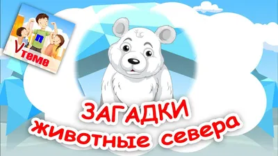 Рамка-вкладыш \"Животные Севера\" купить в интернет магазине Nappystore в  Благовещенске