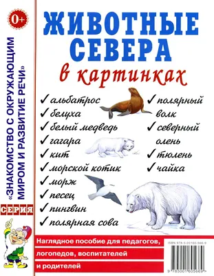 Животные севера Степанов В. - купить с доставкой на дом в СберМаркет