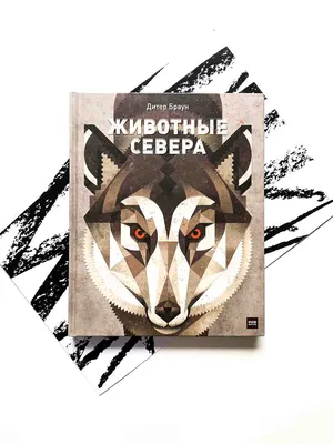 Набор \"Животные севера\", 11 дет. от магазина Edusnab.ru | Доставка по России