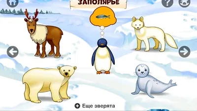 Животные мира - Мультик для детей про животных - Звери северного полюса -  Развивающий мультик - YouTube
