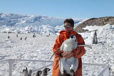 VIP-путешествие на Северный полюс — Сквозь вековые льды