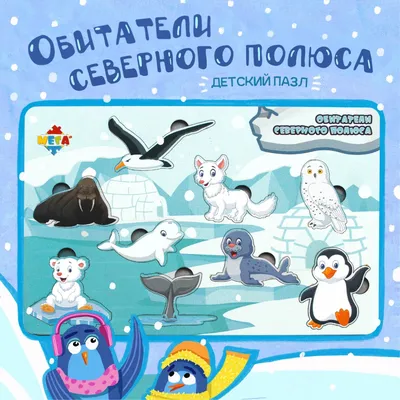 Животные Северного полюса\", анимационная программа для детей от 1 года до  10 лет в игровой комнате \"Игратория\", Краснодар | Краснодар KidsReview.ru