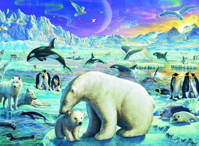 Жизнь во льдах. Наземные животные северного полюса | Fish! | Дзен