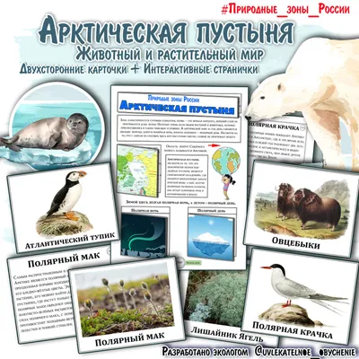 Белые медведи и пингвины на Северном полюсе: жизнь в экстремальных  условиях» — создано в Шедевруме