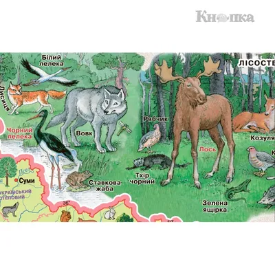 Карта распространения крупных животных по Украине — Служба стастистики  NoNews