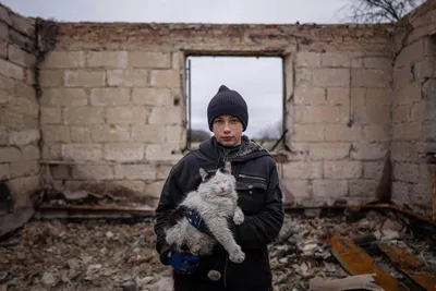 Эти животные могут исчезнуть из-за войны в Украине - фото | РБК Украина