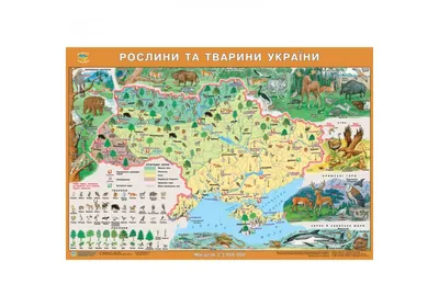 Карта Растения и животные Украины 65*45см картонная с планками купить в  Киеве с доставкой по Украине (5291), цена от Стікер