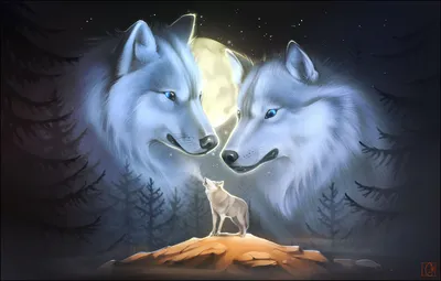 Обои на рабочий стол Серый волк воет ночью на пригорке в полнолуние, с  небес на него смотрят образы двух волков, обои для рабочего стола, скачать  обои, обои бесплатно