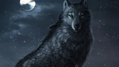Пиренейский волк пойман на камеру - The Portugal News
