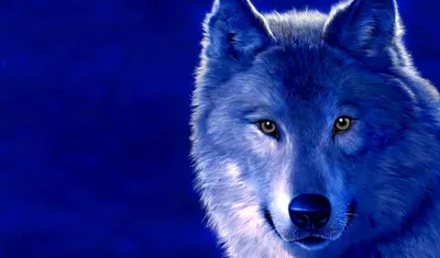 животные, волки - Просмотреть, изменить размер и скачать HD обои / oboi7.com