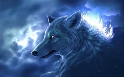 Картинки волк, волчица, фолки, любовь, верность, нежность, волки - обои  1440x900, картинка №61799