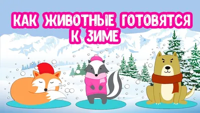 Животные зимой\", презентация для детей - YouTube