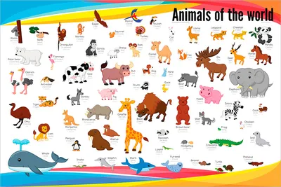 Обои лиса, природа, дикая, животные, Fox, wild, gray, red, Животные #607