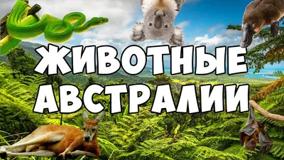 Модели животных из ZOO TYCOON 2 - Остров доктора Dragonlor / Блоги - XGM