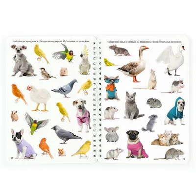 Ребятам о зверятах: книги о животных для детей 4-12 лет • Family.by
