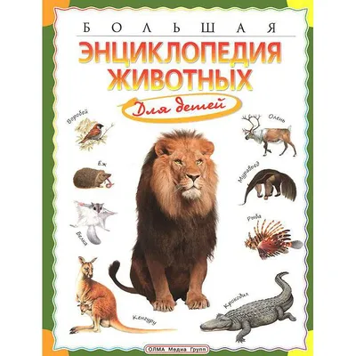 Рабочий блокнот №1 для детей 2-5 лет Питомцы и домашние животные. Пиши и  стирай (+ маркер), автор Юлия Фишер - в интернет-магазине Крокоша в  Санкт-Петербурге | Крокоша. Быстрая доставка по России