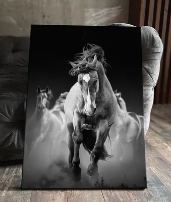 лошади с радужной гривой, картинки с изображением лошадей, лошадь, животное  фон картинки и Фото для бесплатной загрузки