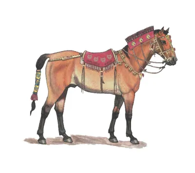 На фото три животных: лошадь, …» — создано в Шедевруме