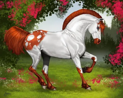 Лошади по цене «Мерседеса». ТОП-10 самых дорогих животных, продаваемых в  Перми