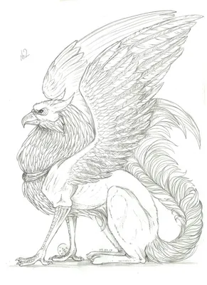 Рисунки карандашом для срисовки животных поэтапно (45 фото) - shutniks.com