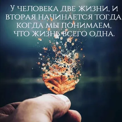 Жизненные цитаты added a new photo. - Жизненные цитаты