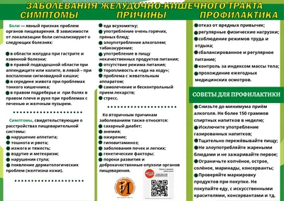 Плакат медицинский Желудочно-кишечный тракт купить по низкой цене в  интернет-магазине МедикоСнаб