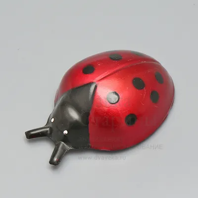 Красноласковый жук, изолированный на белом фоне Детская игрушка Стоковое  Фото - изображение насчитывающей конспектов, взорвать: 163887412