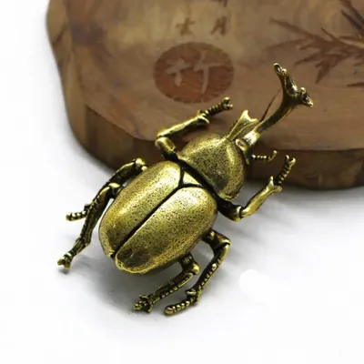 Самые большие жуки в мире – список, размеры, названия, где водятся, фото. |  МОЯ ПЛАНЕТА | Дзен