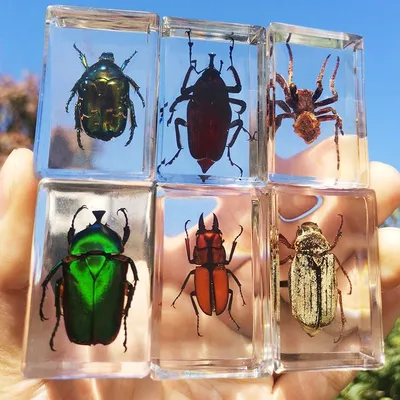 🪲Коллекция • 3D файлы для 3D печати насекомых и жуков — 90  конструкции・Cults