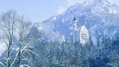 Обои зимняя природа, картинки снежная зима, заснеженный парк, скачать  1366x768