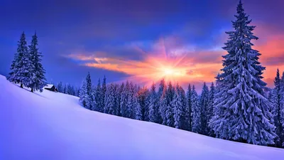 Обои зима, снег, природа, дерево, замораживание HD ready бесплатно,  заставка 1366x768 - скачать картинки и фото