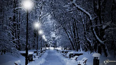 Скачать обои зима, свет, снег, деревья, скамейка, природа, города, елка,  раздел природа в разрешении 1366x768