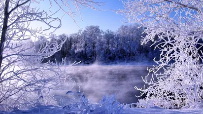 Скачать обои и картинки зима, снег, дерево, небо для рабочего стола в  разрешении 1366x768